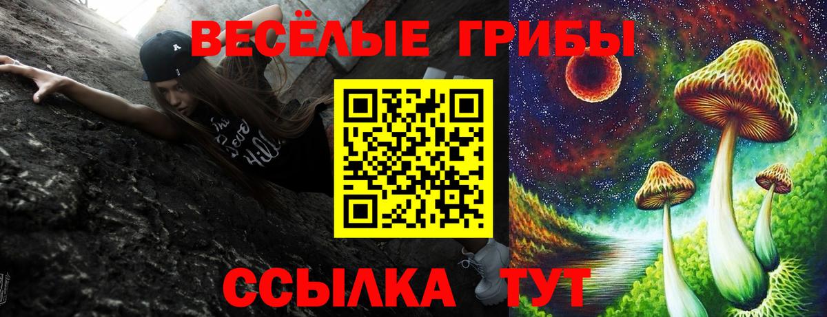 Галлюциногенные грибы Psilocybine cubensis Кулебаки