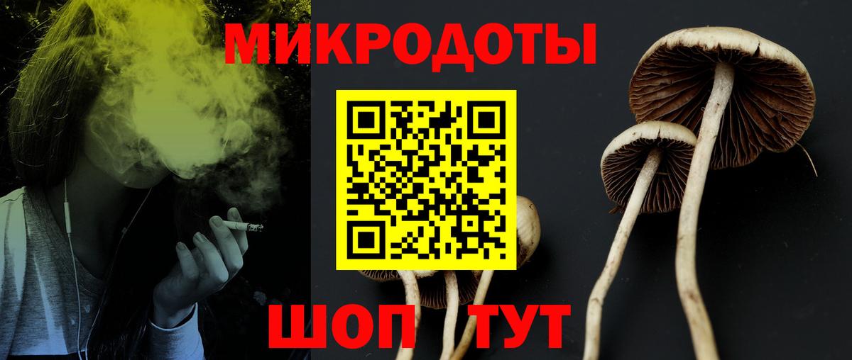 Галлюциногенные грибы Magic Shrooms  Вход с VPN  Галлюциногенные грибы мицелий  Кулебаки 